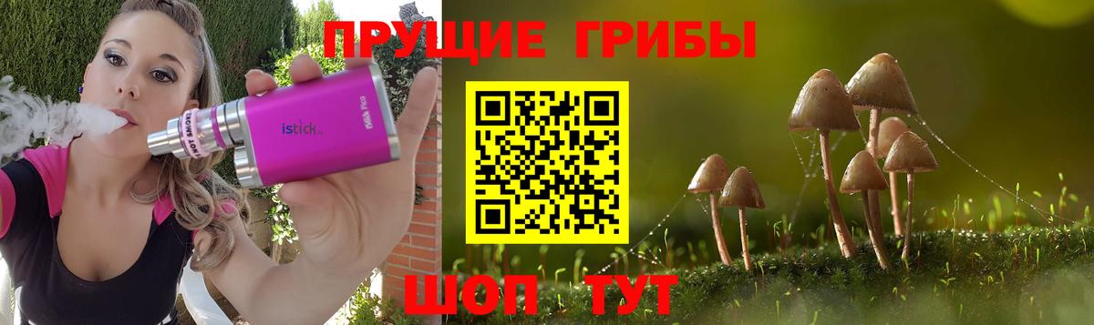 Бахчисарай  Псилоцибиновые грибы ЛСД  Вход с VPN  Псилоцибиновые грибы ЛСД 